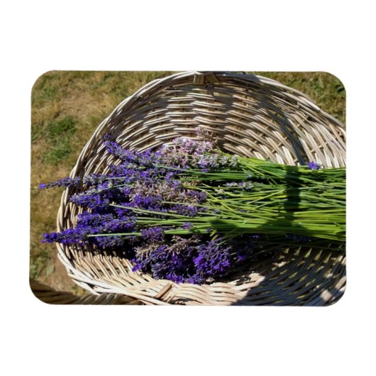 Magnet Flexible Lavender (Horizontal)