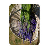 Magnet Flexible Lavender (Vertical)