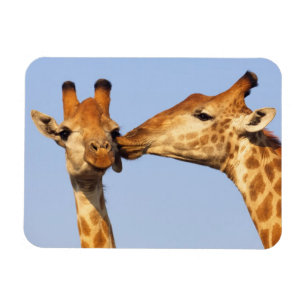 Magnet Flexible Le baiser