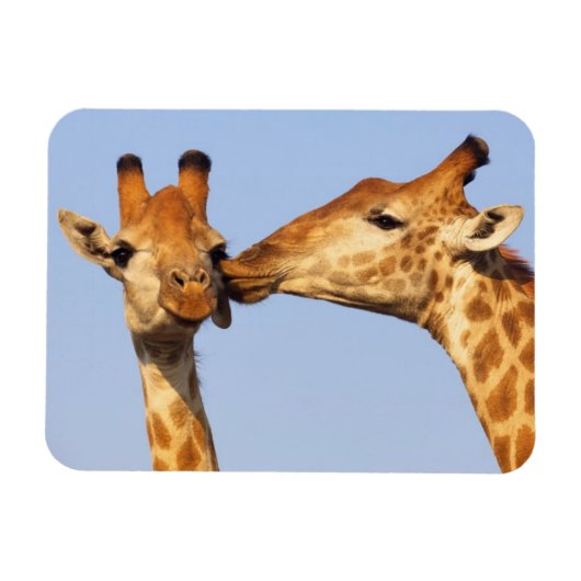 Magnet Flexible Le baiser (Horizontal)