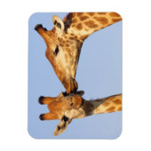 Magnet Flexible Le baiser (Vertical)