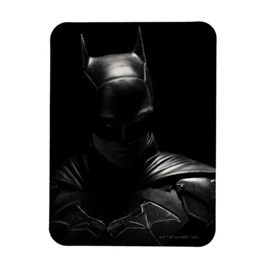 Magnet Flexible Le Batman de Shadow (Vertical)