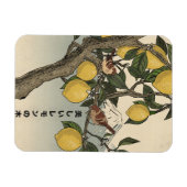 Magnet Flexible Le Beau Citronnier (Horizontal)