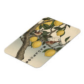 Magnet Flexible Le Beau Citronnier (Côté Gauche)