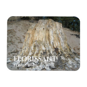 Magnet Flexible Le Big Stump, Florissant Fossil Lits