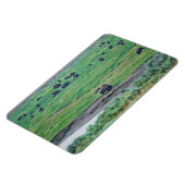 Magnet Flexible Le bison américain (Côté Gauche)