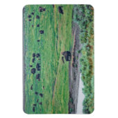 Magnet Flexible Le bison américain (Vertical)