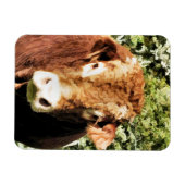 MAGNET FLEXIBLE LE BULL (Horizontal)