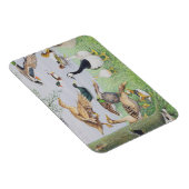 Magnet Flexible Le canard fou (Côté Droit)