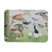Magnet Flexible Le canard fou (Horizontal)