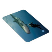 Magnet Flexible Le Canard Pour La Couverture ? (Côté Droit)