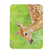 Magnet Flexible Le cerf de Virginie | Minnesota (Vertical)