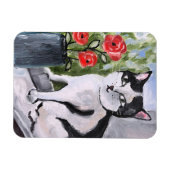 Magnet Flexible Le chat et les coquelicots (Horizontal)