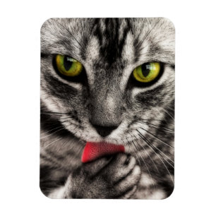 Magnet Flexible Le chat lèchent