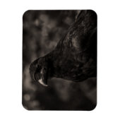 Magnet Flexible Le Chercheur (Vertical)