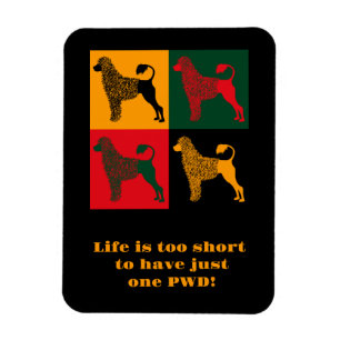 Magnet Flexible Le chien d'eau portugais intelligent