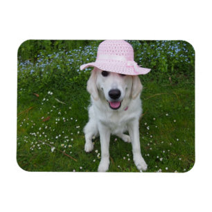 Magnet Flexible le chien le plus doux au monde