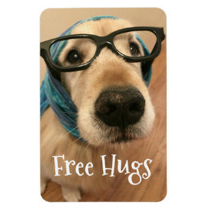 Magnet Flexible Le chien triste de golden retriever avec des