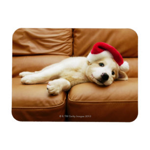 Magnet Flexible Le chiot porte un casquette de noël et est allongé