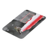 Magnet Flexible Le colibri d'Anna dans la neige (Côté Gauche)