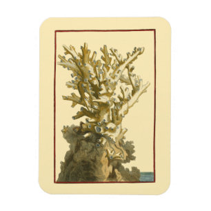 Magnet Flexible Le corail de la mer