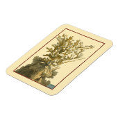 Magnet Flexible Le corail de la mer (Côté Gauche)