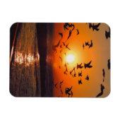 Magnet Flexible Le coucher du soleil du lac Érié (Horizontal)