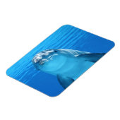 Magnet Flexible Le dauphin face proche (Côté Gauche)