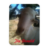 Magnet Flexible Le Donald (Vertical)