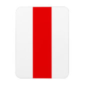 Magnet Flexible Le drapeau de la Biélorussie symbole de la révolut (Vertical)