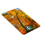 Magnet Flexible Le feuillage d'automne dans le parc (Côté Droit)