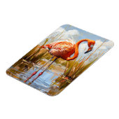 Magnet Flexible Le Flamant rose sauvage (Côté Gauche)