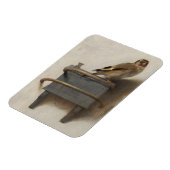Magnet Flexible Le Goldfinch (Côté Gauche)