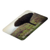 Magnet Flexible Le Kilimandjaro, l'arbre à candélabres (Côté Gauche)