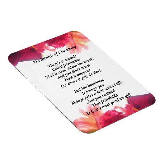 Magnet Flexible Le miracle de l'amitié (Côté Droit)