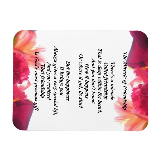 Magnet Flexible Le miracle de l'amitié (Horizontal)