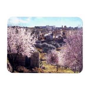 Magnet Flexible Le mont des Oliviers vintage Jérusalem Israël 19