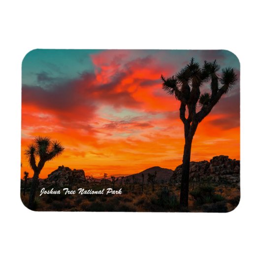 Magnet Flexible Le Parc national de Joshua Tree (Horizontal)