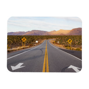 Magnet Flexible Le Parc national de Joshua Tree