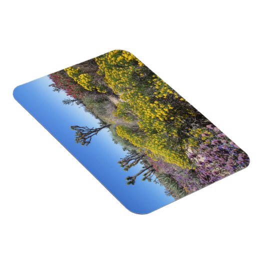 Magnet Flexible Le Parc National De Joshua Tree En Fleur (Côté Droit)