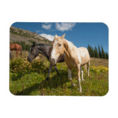 Magnet Flexible Le Parc national de North Cascades (Horizontal)