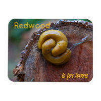 Le parc national de Redwood Banana Slug Pair