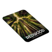 Magnet Flexible Le parc national de Redwood, Californie côtière (Côté Droit)