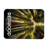 Magnet Flexible Le parc national de Redwood, Californie côtière (Horizontal)