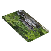 Magnet Flexible Le parc Setagaya (Côté Droit)