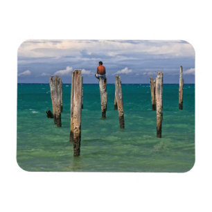 Magnet Flexible Le pilier en plage de Coqueiros dans Trancoso