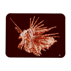 Magnet Flexible Le poisson-Lion
