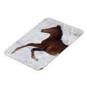 Magnet Flexible Le poulain arabe dans la neige (Côté Gauche)