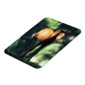 Magnet Flexible Le poulain arabe dans les arbres (Côté Gauche)