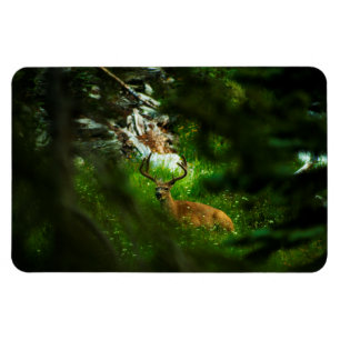Magnet Flexible Le Prince Forêt